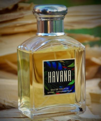 عطر آرامیس هاوانا