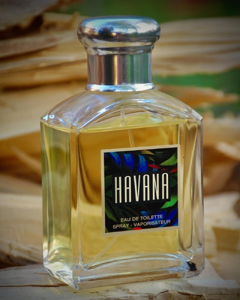 عطر آرامیس هاوانا